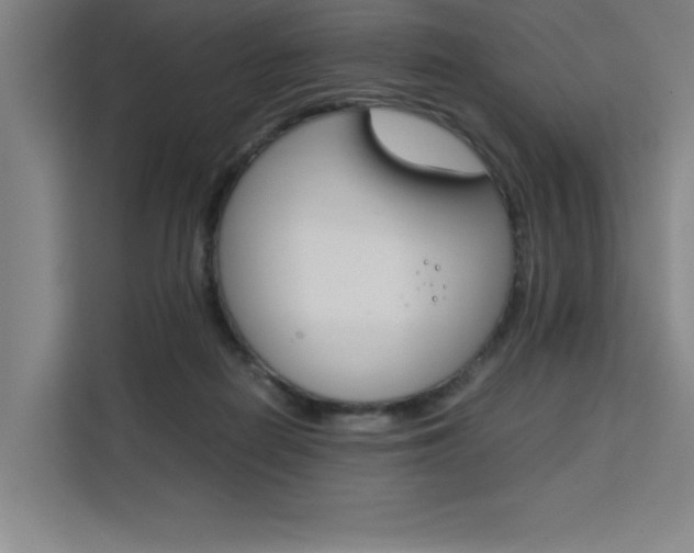X0000111500266200907141049