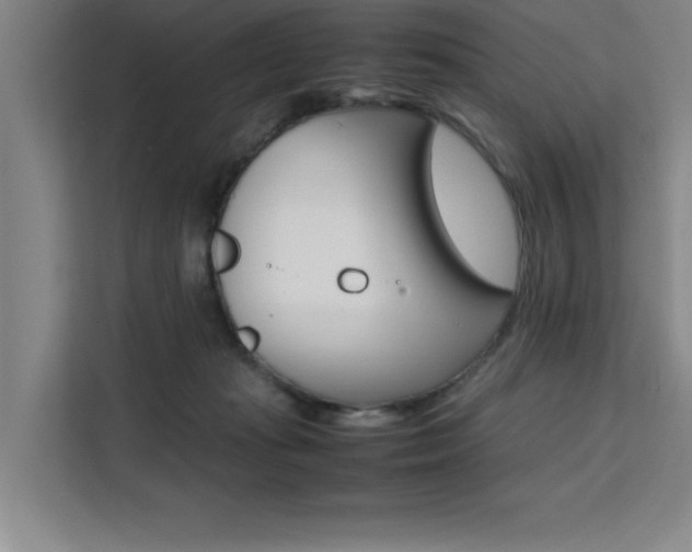 X0000111500269200907141049