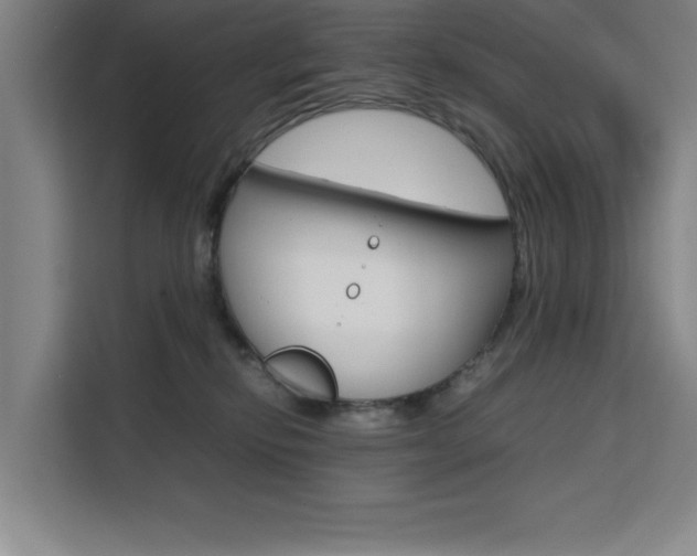 X0000111500278200907141049