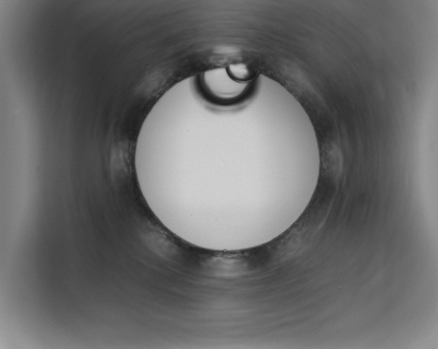 X0000111500280200907141049