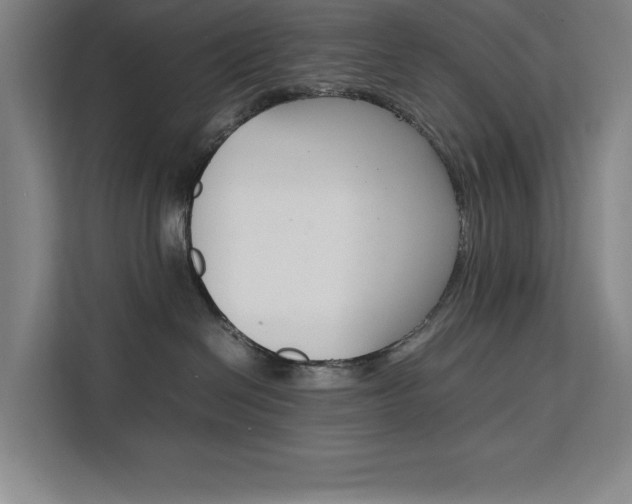 X0000111500286200907141050