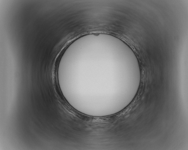 X0000111500290200907141049