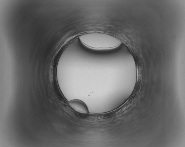 X0000111500291200907141049