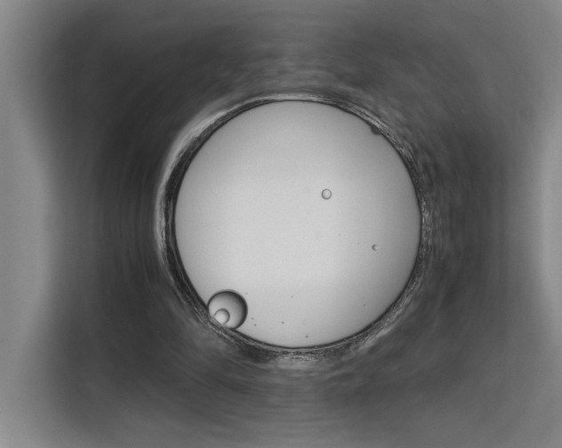X0000111500294200907141049