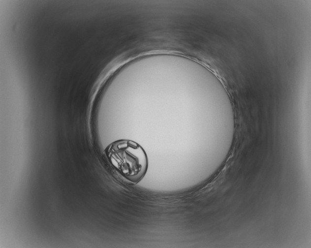 X0000111500296200907141049