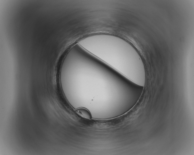 X0000111500299200907141049