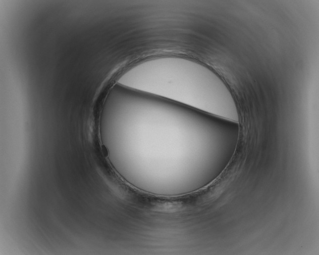 X0000111500304200907141049