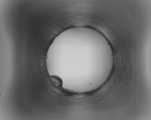 X0000111500307200907141049