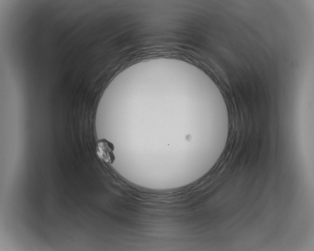 X0000111500328200907141048