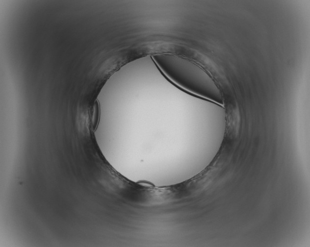 X0000111500333200907141048