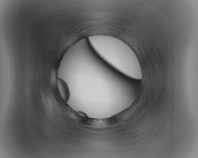 X0000111500335200907141048