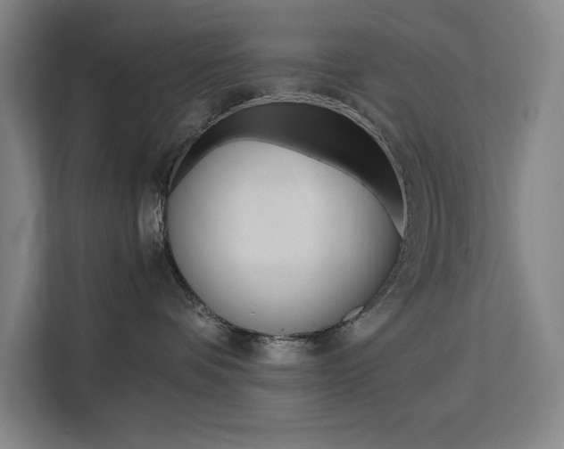X0000111500336200907141048