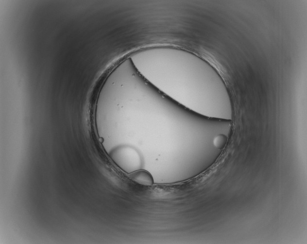 X0000111500346200907141048