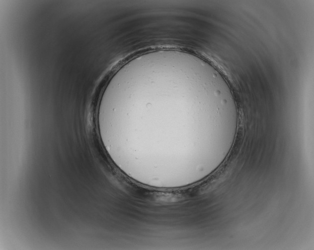 X0000111500347200907141048