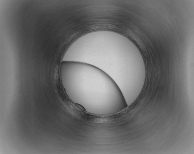 X0000111500356200907141048