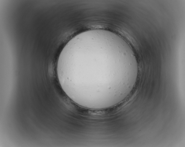 X0000111500359200907141048