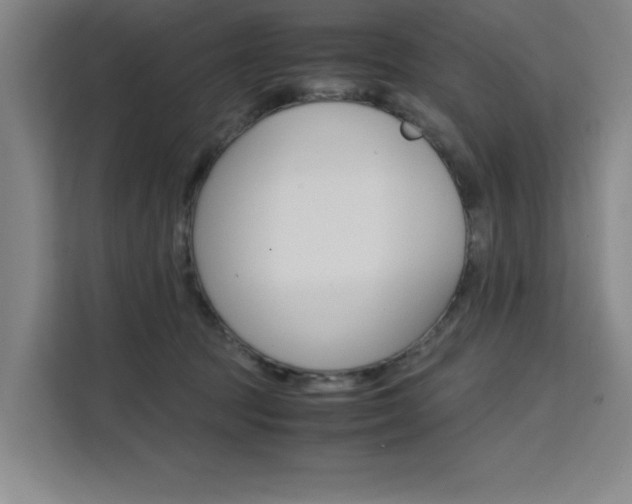 X0000111500369200907141048