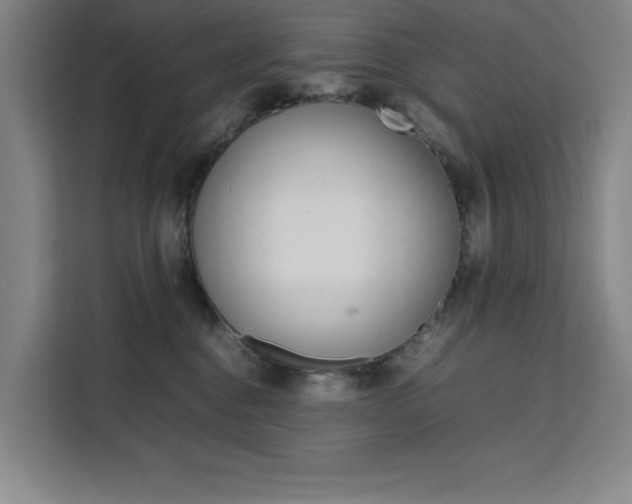 X0000111500376200907141048