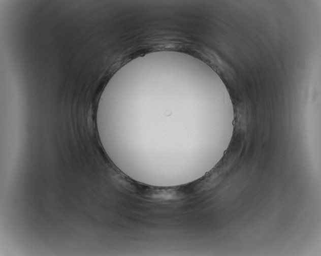 X0000111500377200907141048
