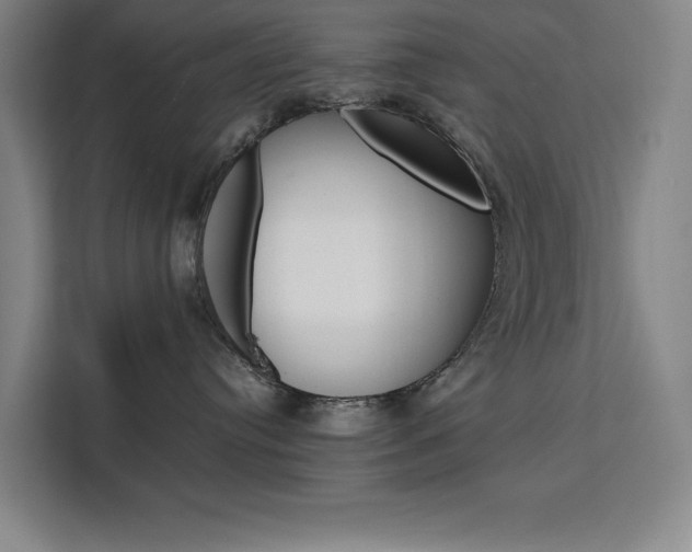 X0000111500384200907141048