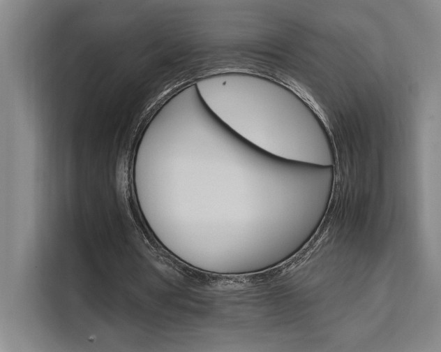 X0000111500386200907141048