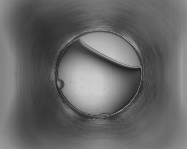 X0000111500389200907141048