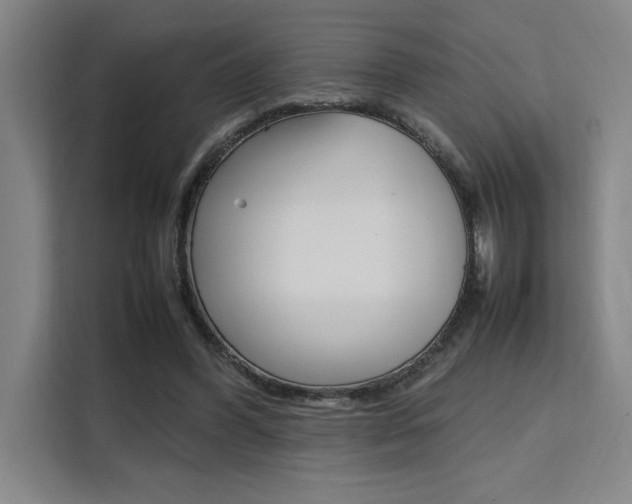 X0000111500396200907141048
