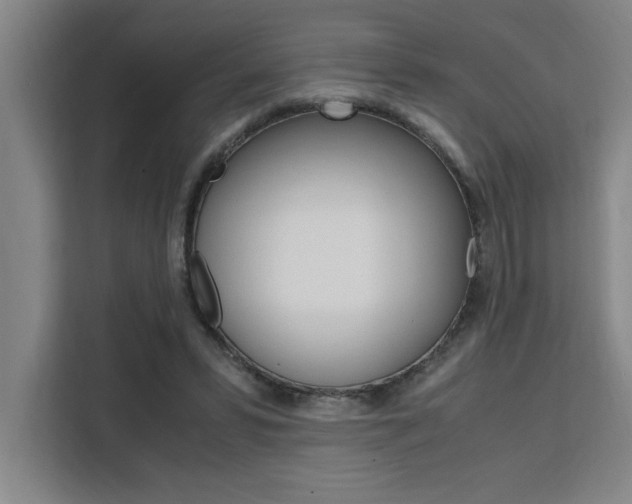 X0000111500399200907141048