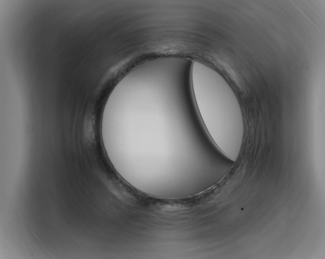 X0000111500400200907141048