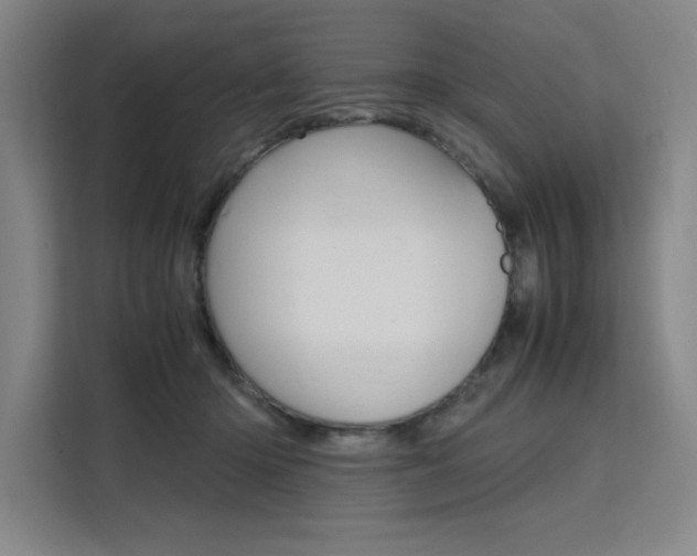 X0000111500414200907141047