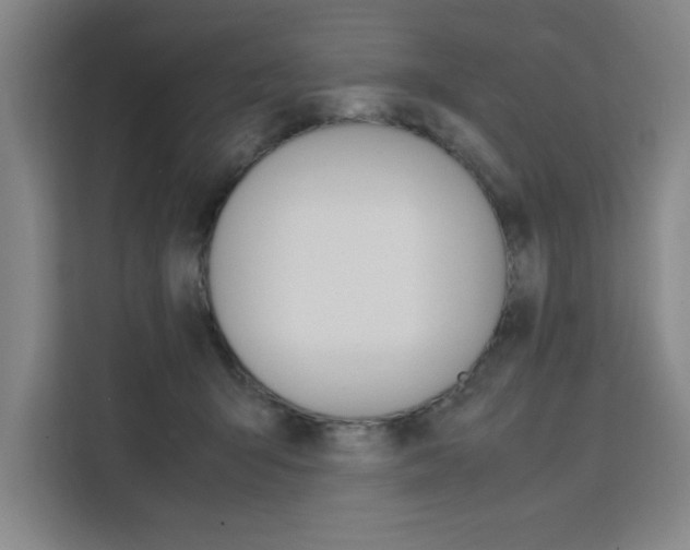 X0000111500415200907141047