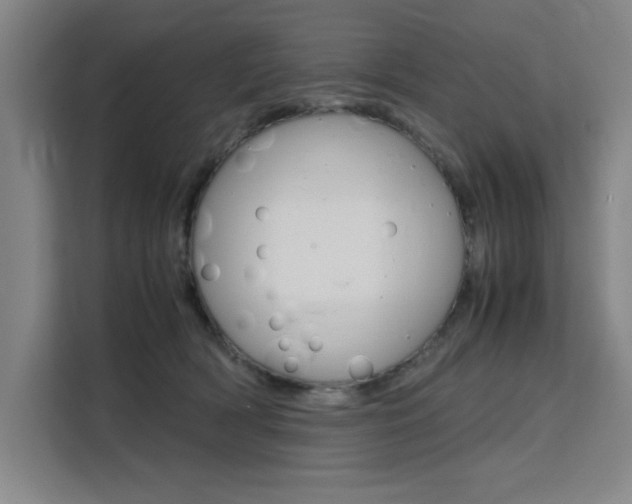 X0000111500418200907141047
