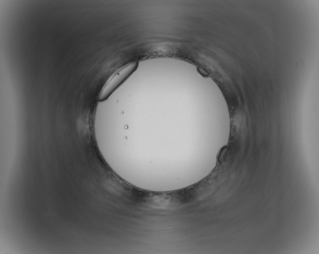 X0000111500423200907141047