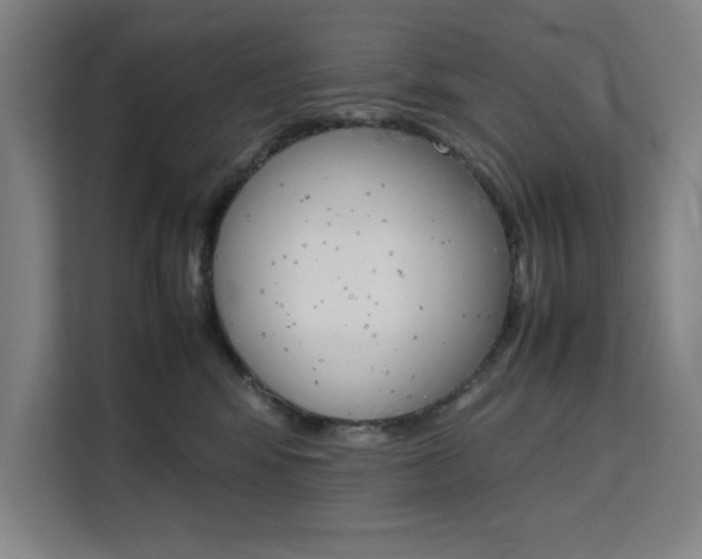 X0000111500424200907141047