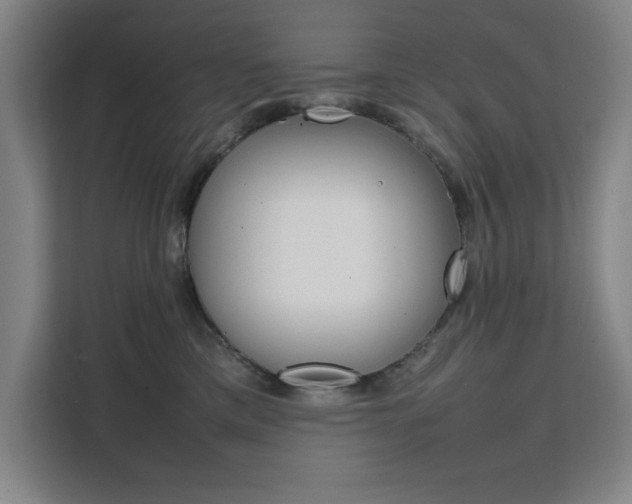 X0000111500425200907141047