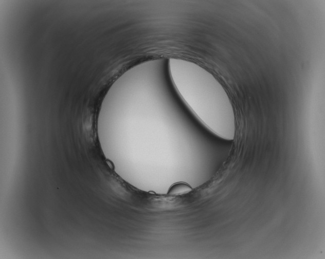 X0000111500428200907141047