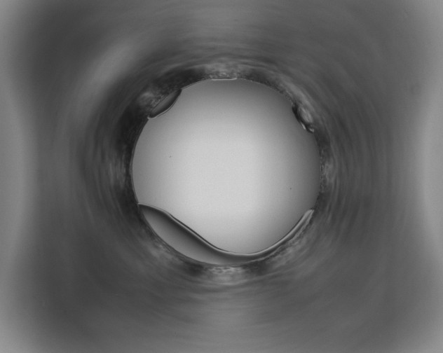X0000111500429200907141047