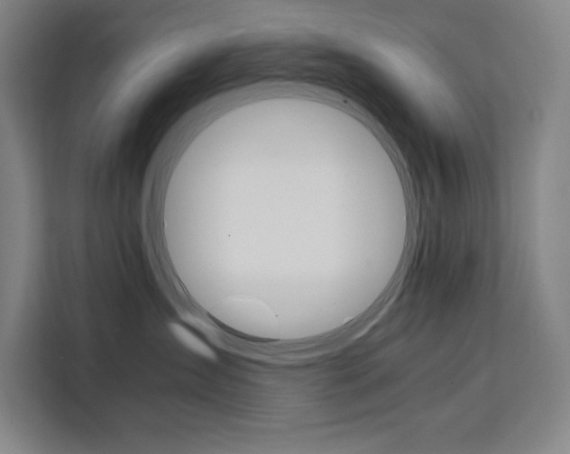 X0000111500431200907141047