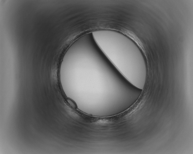 X0000111500441200907141047