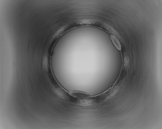 X0000111500444200907141047