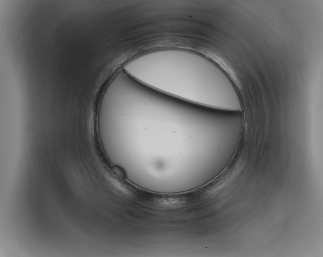 X0000111500445200907141047