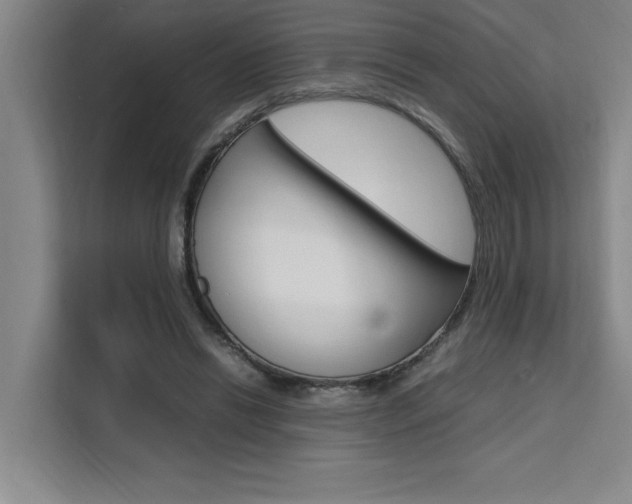X0000111500446200907141047