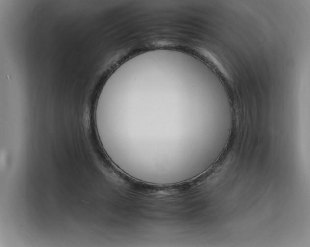 X0000111500447200907141047