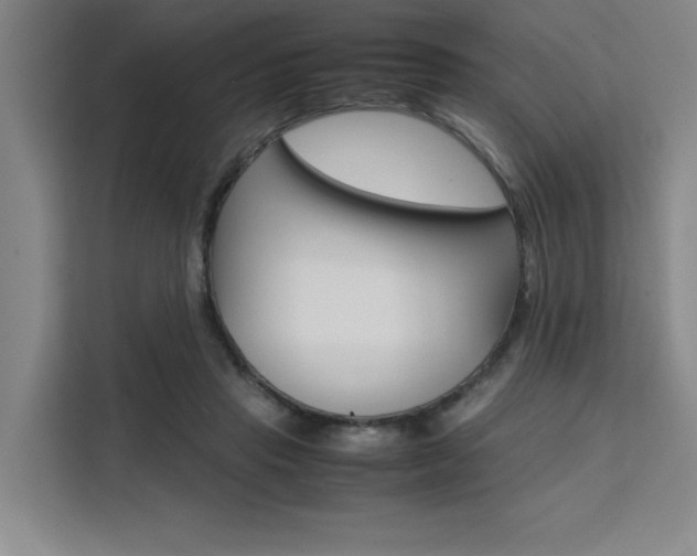 X0000111500453200907141047