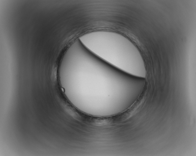 X0000111500454200907141047