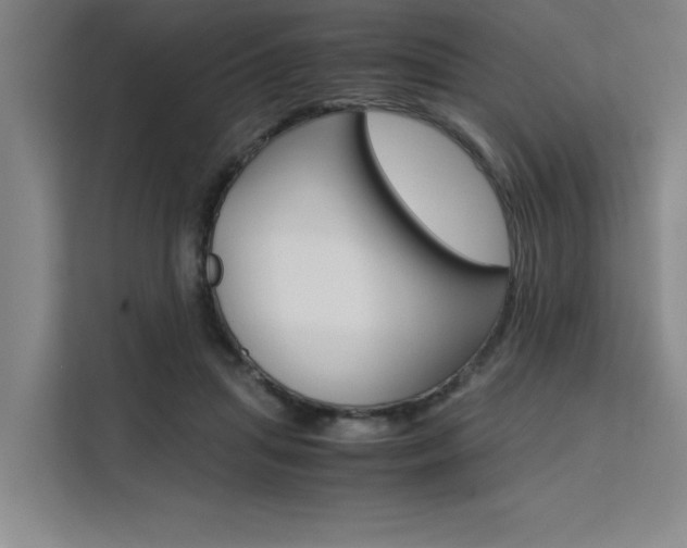 X0000111500455200907141047