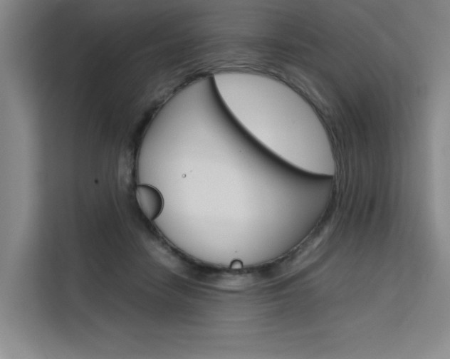 X0000111500458200907141047