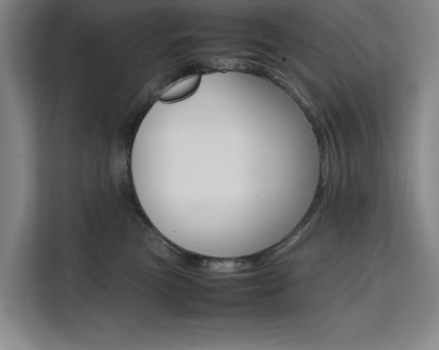X0000111500473200907141047