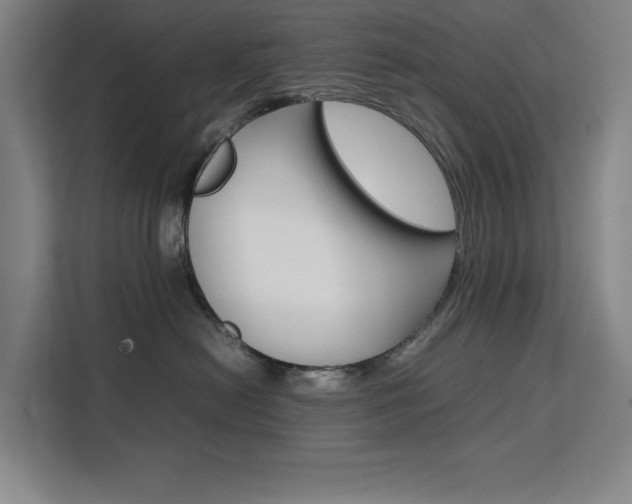 X0000111500478200907141047