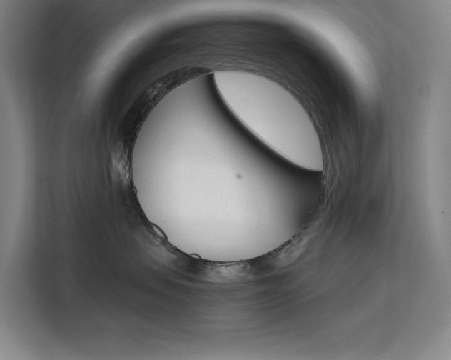 X0000111500479200907141047